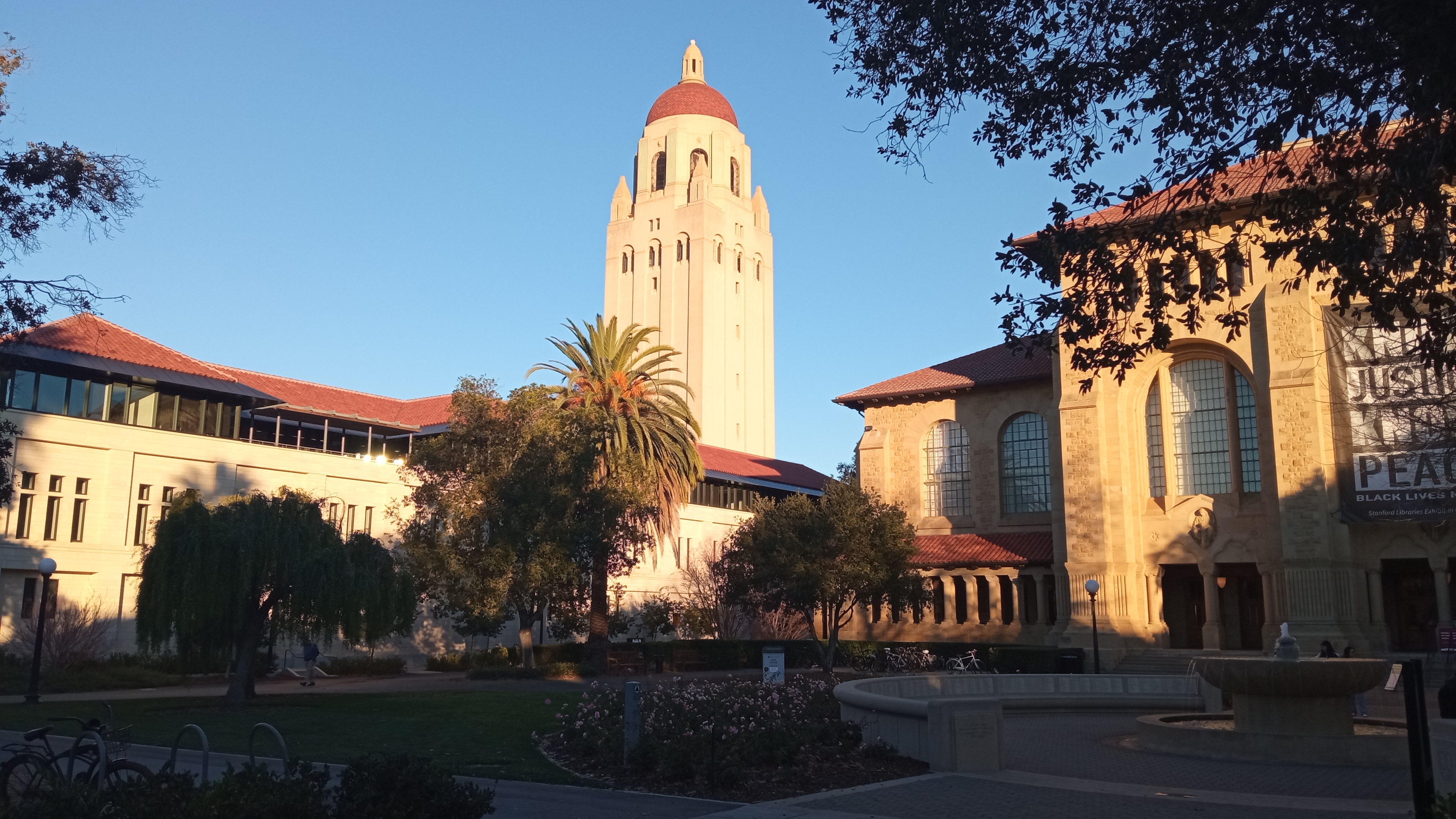 Stanford campus